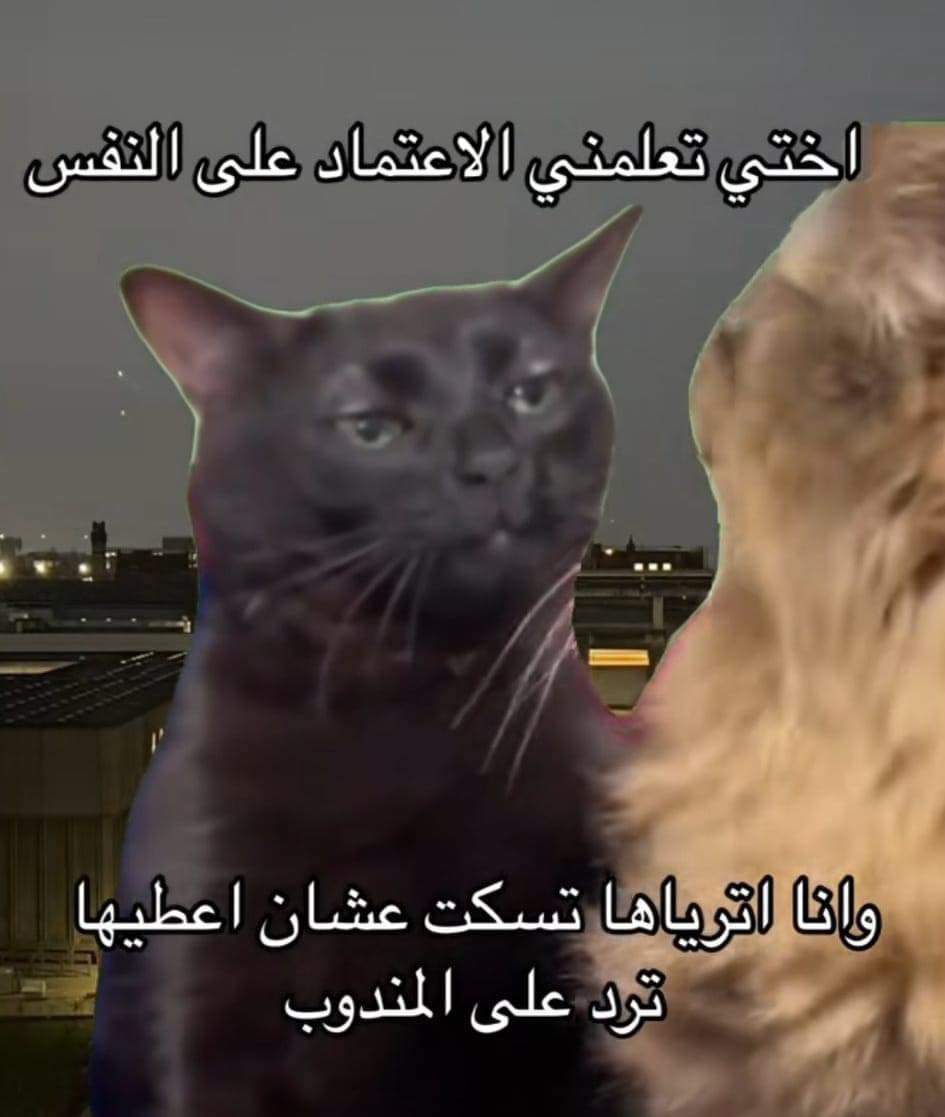 egymeme11's tweet photo. https://t.co/PcrHTnDJku
