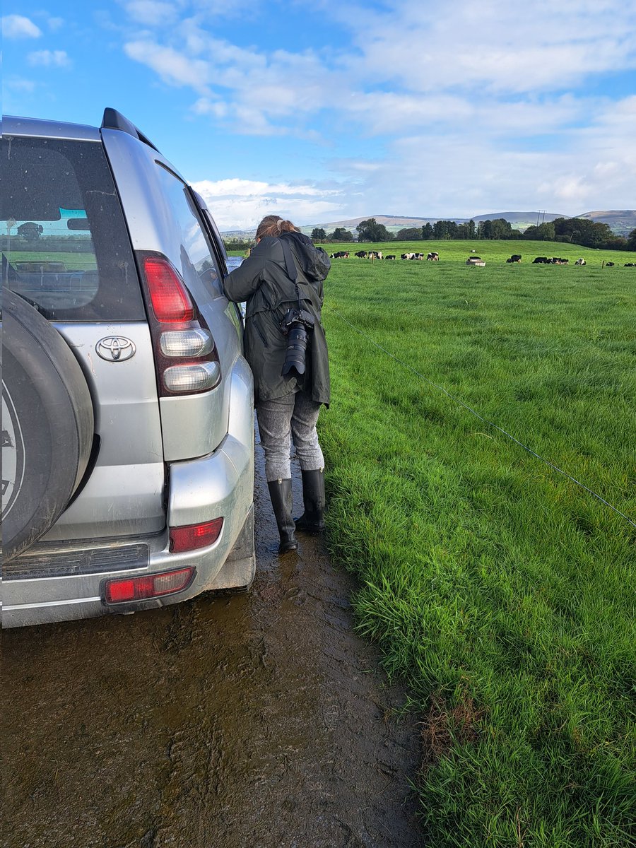 Something a bit different for a Monday morning 🐄🐄📸📸 #photoshoot <a href="/NDC_ie/">National Dairy Council</a> #milkqualityawards