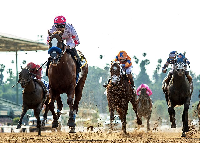 BloodHorse's tweet image. Santa Anita Autumn Meet to Offer Traditional Pick 6 bit.ly/3sSbsEW #Handicapping