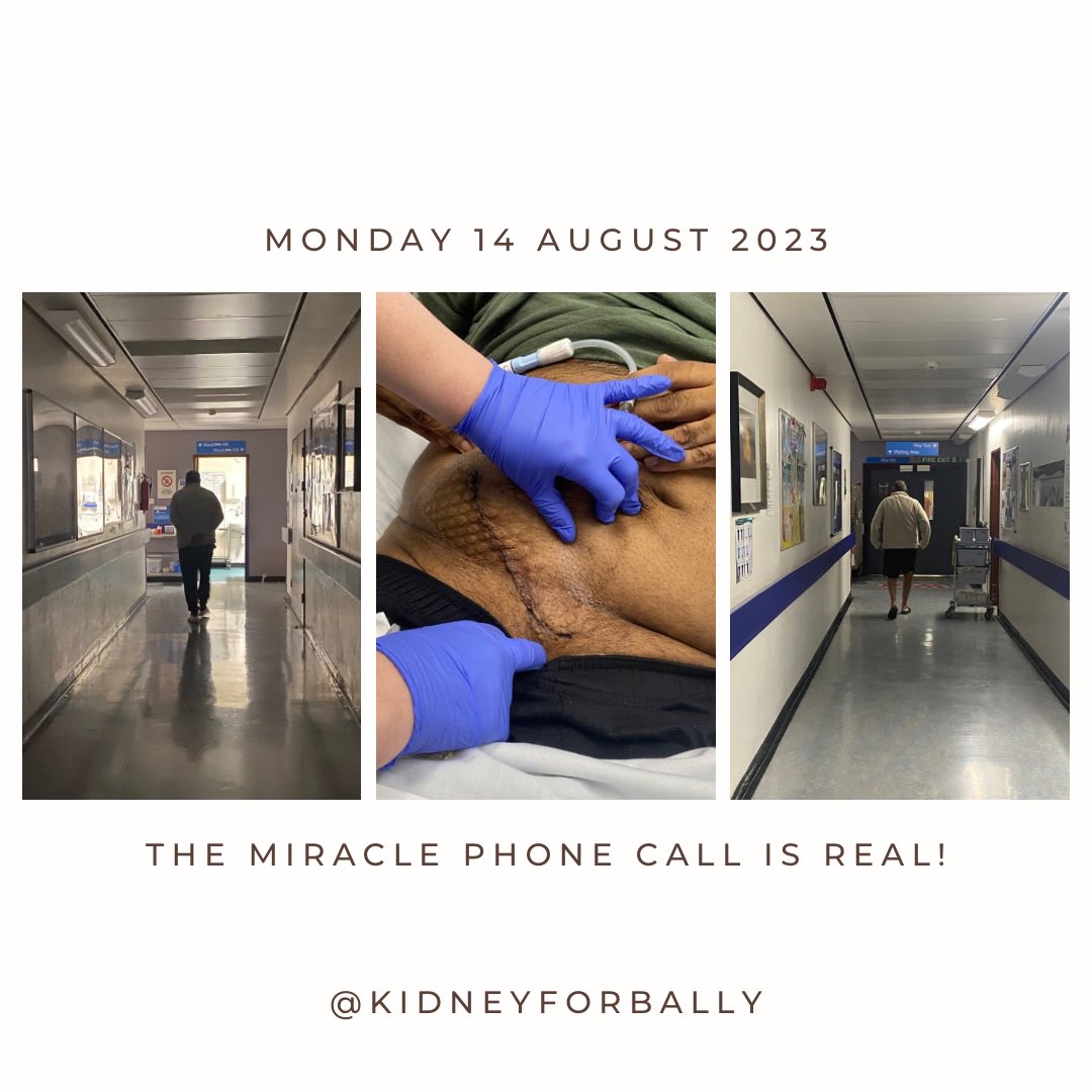 KidneyForBally tweet media