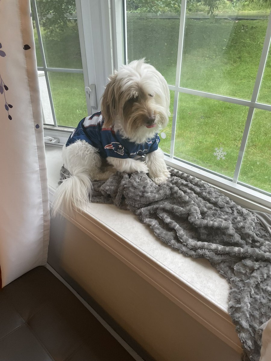 Jk8pinky's tweet photo. Our baby! ❤️🏈 I think he needs a haircut lol.. https://t.co/UKlwwTH66a