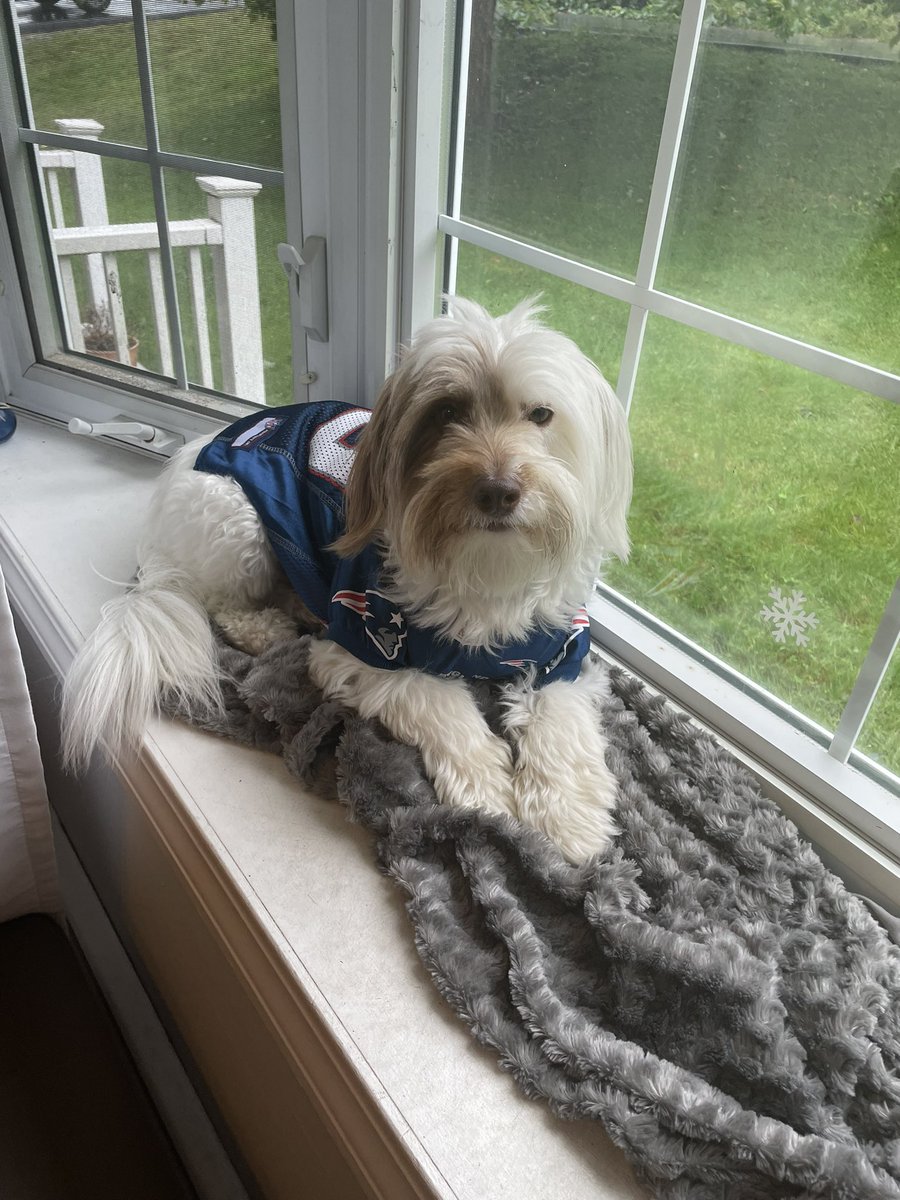Jk8pinky's tweet photo. Our baby! ❤️🏈 I think he needs a haircut lol.. https://t.co/UKlwwTH66a