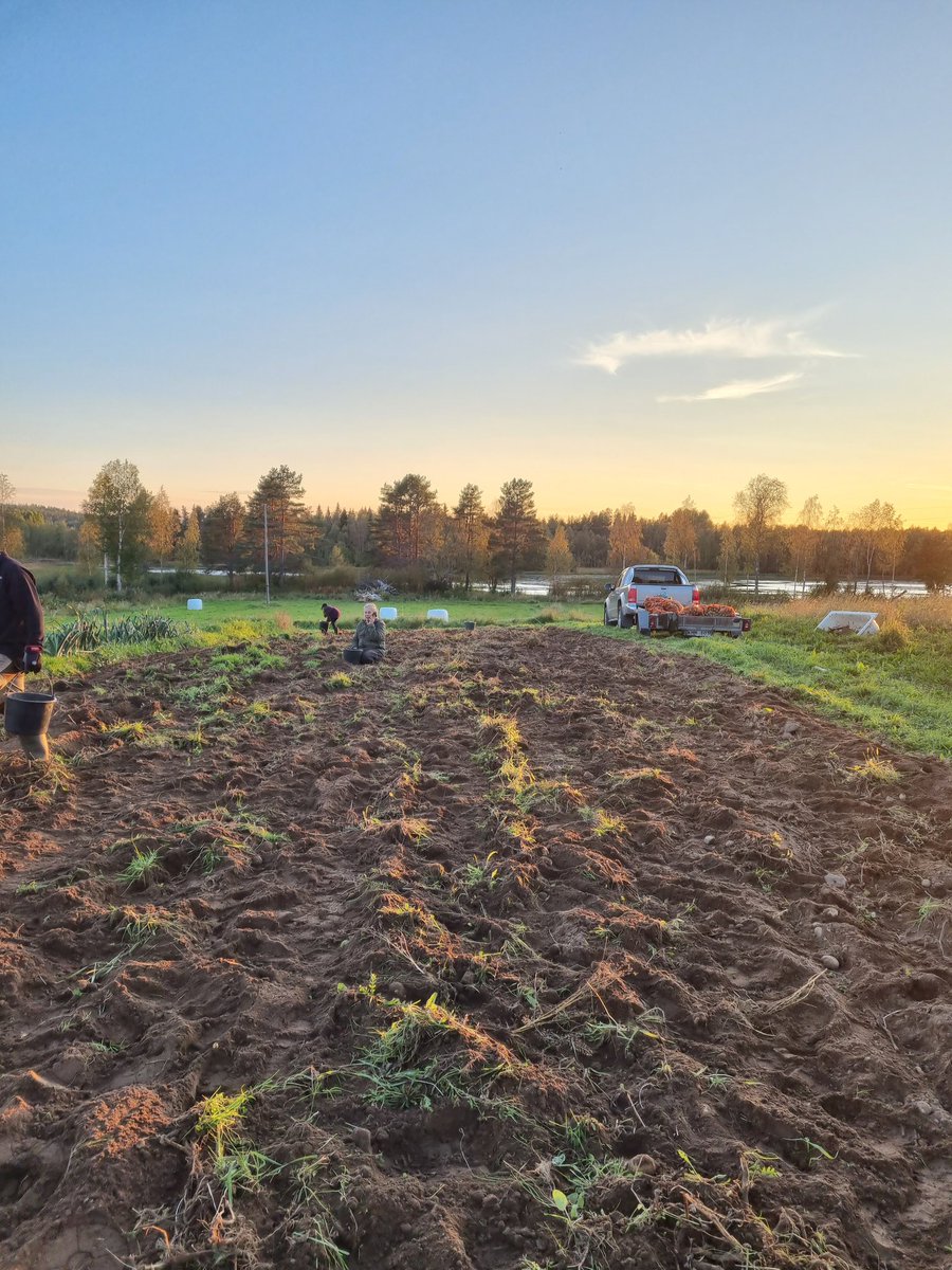 Johan Lundbäck tweet media