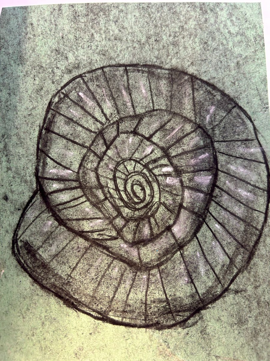 latimerprimary's tweet photo. Charcoal ammonites in 3PS… lots of fun experimenting with light and dark #artists #fossils #ClassPS https://t.co/zyvFJq6Mip