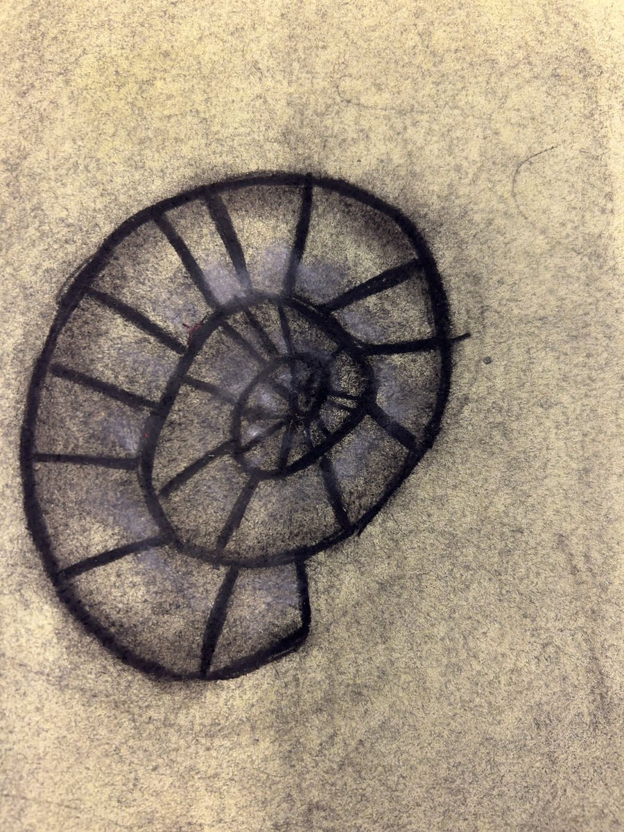 latimerprimary's tweet photo. Charcoal ammonites in 3PS… lots of fun experimenting with light and dark #artists #fossils #ClassPS https://t.co/zyvFJq6Mip