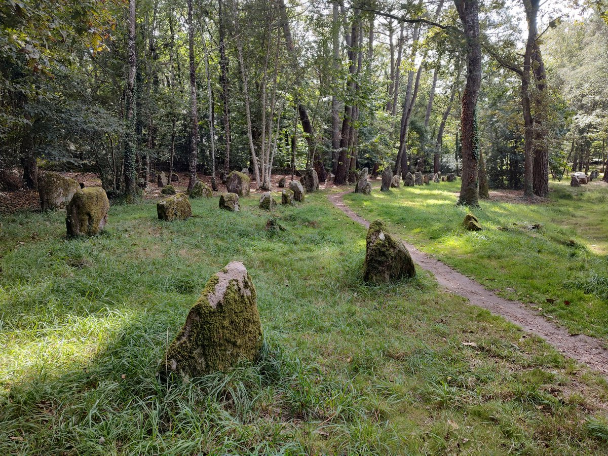 Took longer than I was expecting today to go around the menhirs of Carnac in Brittany. 4km of stone alignments, barrows, cairns and standing stones. Worth walking for full scale