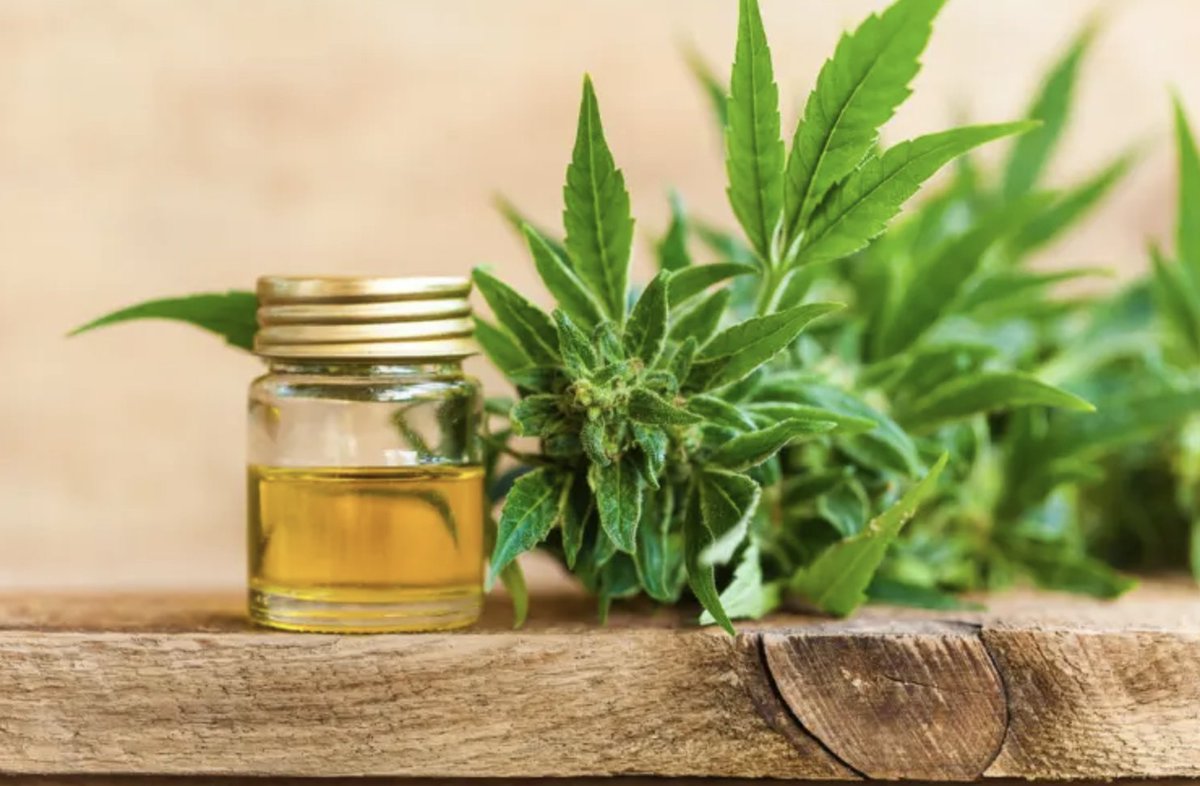 Cobra Extracts tweet media