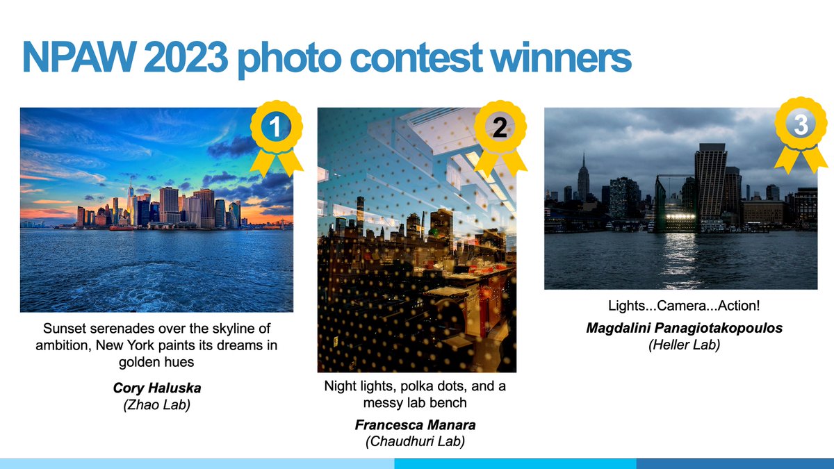 MSK ScienceEducation tweet media