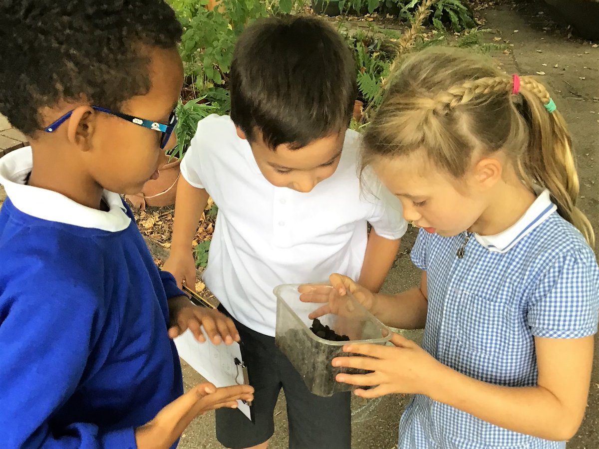 Heathbrook Primary tweet media