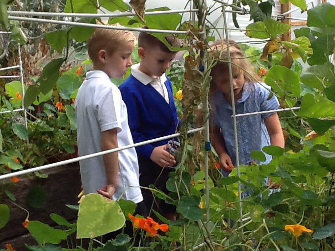 Heathbrook Primary tweet media