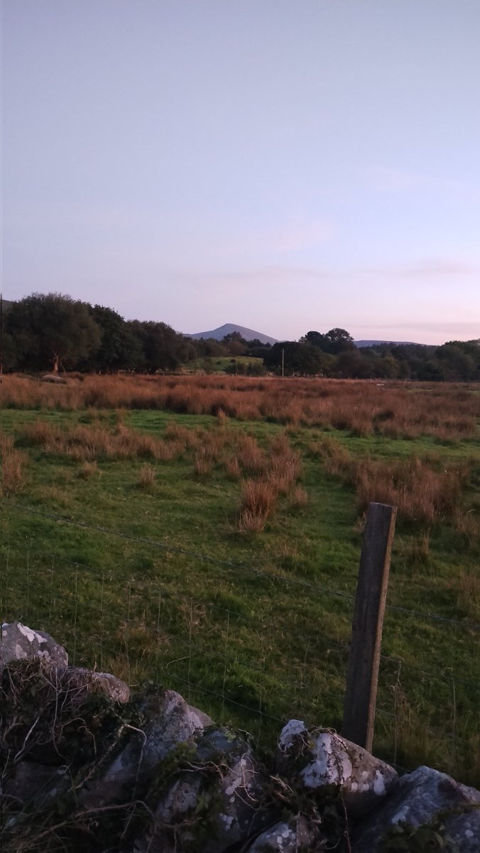 RheonTJ's tweet photo. @kristinhersh Accross a field near me....
Mount Snowdon!
Yr Wyddfa! https://t.co/wPFsN0APdz