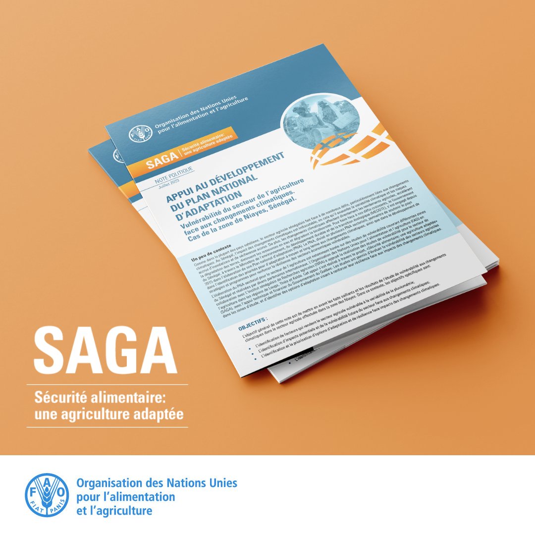 FAOclimate's tweet photo. 🌾 Boosting Senegal's agri-resilience!
Take a look at our policy brief assessing climate hurdles & how to adapt in the Niayes region.
Read more: https://t.co/NuzlycD2Yn
#SAGAproject #ClimateAction
@FAOSenegal @MRIF_Quebec https://t.co/5I4nRaG2wb