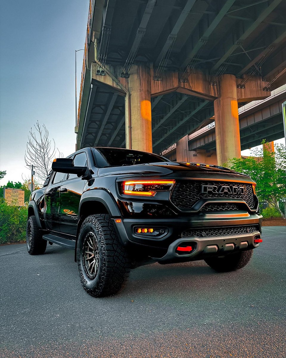 RAM_MX's tweet image. El negro siempre está de moda. 🦖 #RAMTRX

📸: Javi Corona