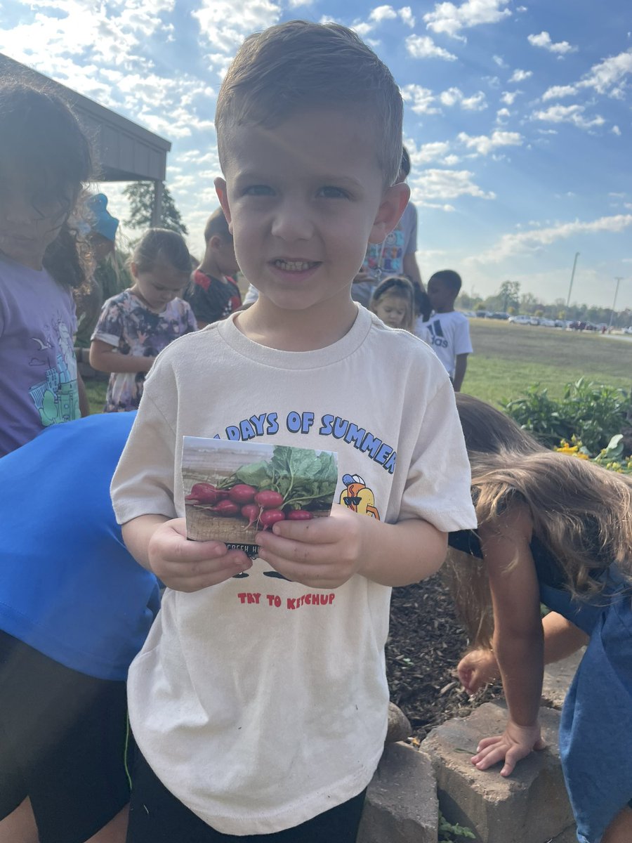 MrsWolfRTGG's tweet photo. A small harvest of peppers and lots of new seeds being sowed today @Keenanlions ! @readygrowgarden @MontgomeryISD #peppers #fallveggies #readytogrowgardens https://t.co/NPkA9DqZpv