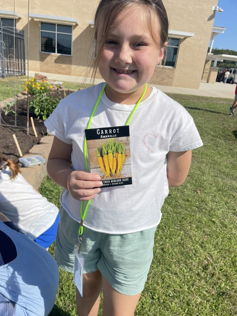 MrsWolfRTGG's tweet photo. A small harvest of peppers and lots of new seeds being sowed today @Keenanlions ! @readygrowgarden @MontgomeryISD #peppers #fallveggies #readytogrowgardens https://t.co/NPkA9DqZpv