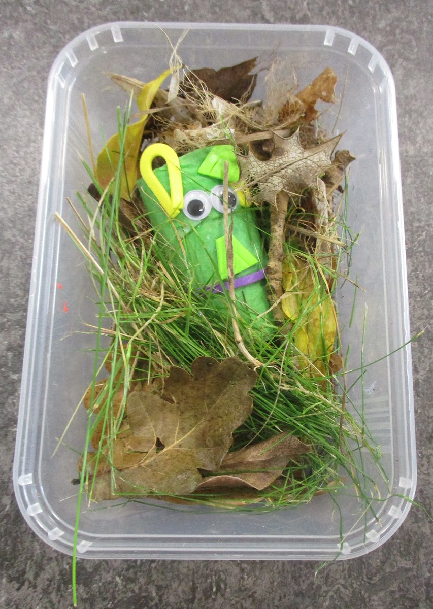LancsLibraries's tweet image. Our Little Steps finisher at Eccleston made this amazing frog finger puppet. She also wanted to make sure he had a lovely home using things she found in the garden.
Our next Storytime special event is on Monday 2 October events.apps.lancashire.gov.uk/w/webpage/even…
#EcclestonLibrary #LancsLittleSteps