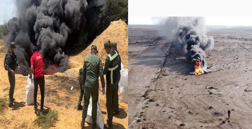 nuevodiaenlinea's tweet photo. #NuevoDía | 🚨Destruyen droga y avioneta incautadas en Mitare (+VIDEO)
➡️Las 455 panelas de cocaína y la avioneta incautadas en #Mitare fueron destruidas por las autoridades.
#NoticiasFalcón #Sucesos
Más información AQUÍ 👇
https://t.co/AOVSh4vx4o https://t.co/SeIYDnwiIN