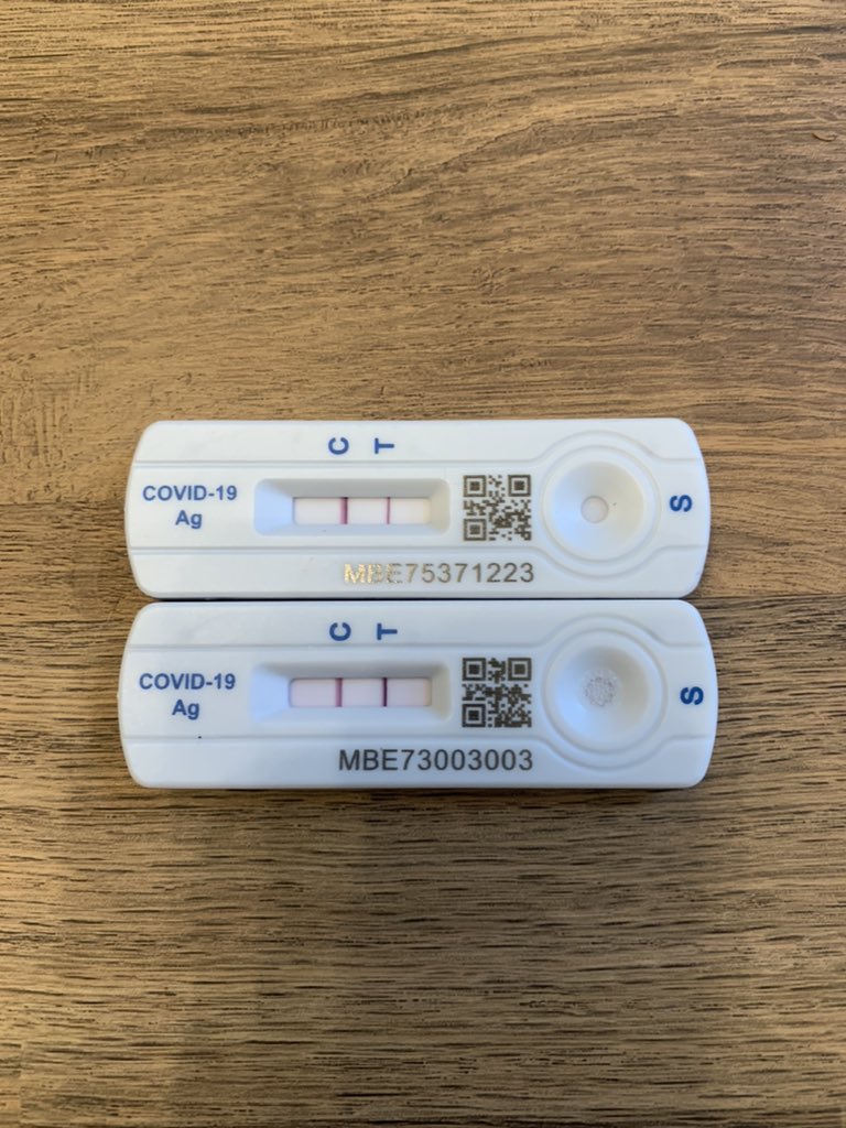 mikey🌱 tweet media