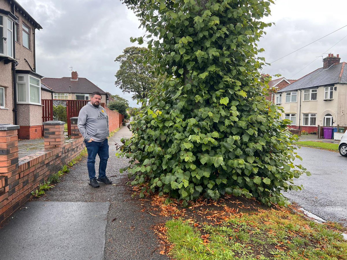 robmcuk's tweet photo. @LiverLibDems Mossley Hill is seeing the neglect from the Labour Council. Weeds untreated, pathways over grown with foliage, graffiti uncleaned and potholes left. This pothole was reported by me 110 days ago and despite being chased has only been outlined with white spray. #litterpool #cleanit https://t.co/nZMNm1P5By