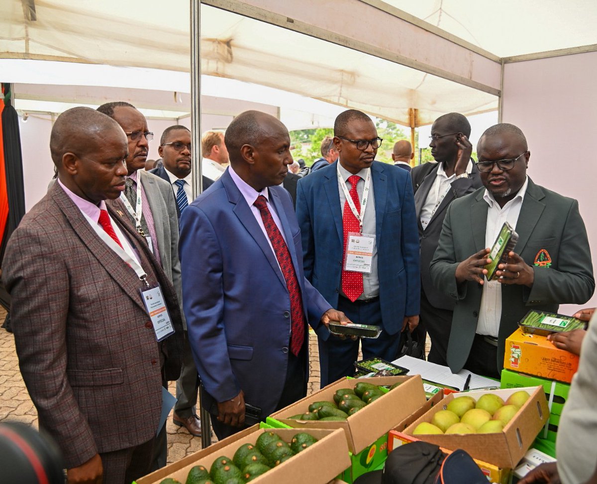 harsama_kello's tweet photo. Today, I officially launched the 4th International Phytosanitary Conference at KEPHIS headquarters, themed; "Enhancing Phytosanitary Systems for Trade Facilitation,  Climate-Smart Agriculture, and Sustainable Livelihoods." 
@KephisKe
@FeedtheFuture
@TradeMarkAfrica  
@kilimoKE 
#4thinternationalphytosanitaryconference.