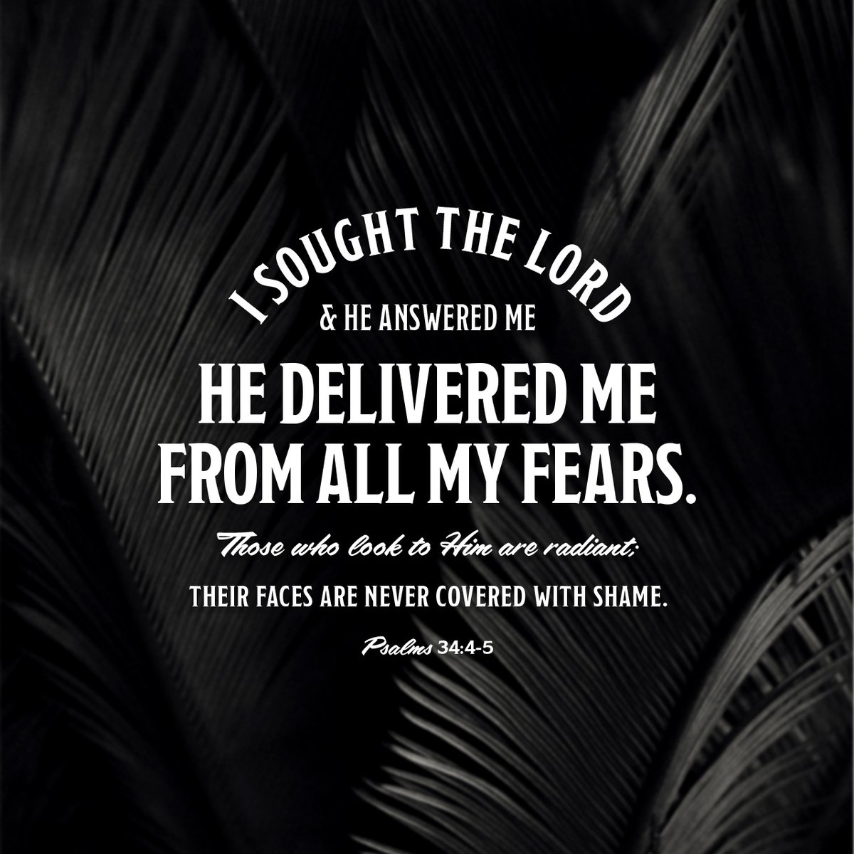 ConsultingCoach's tweet photo. I sought the Lord, and he heard me, and delivered me from all my fears. They looked unto him, and were lightened: and their faces were not ashamed.
Psalm 34:4-5 KJV

https://t.co/0OcxGooa3b https://t.co/my507gYmA2