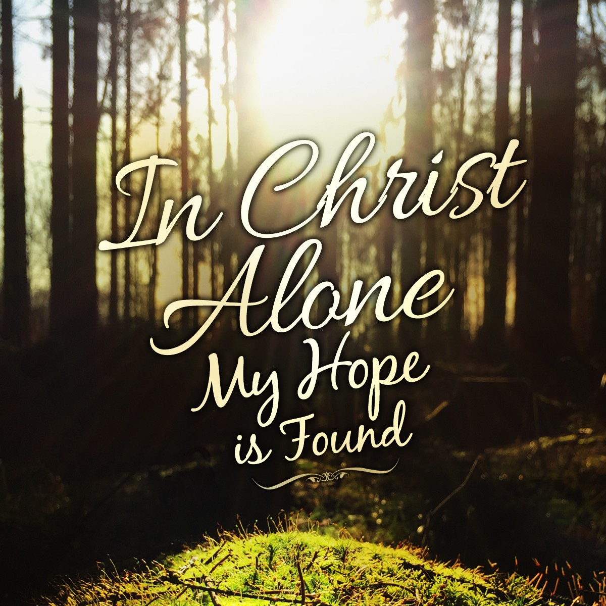 ReverendSheila's tweet photo. In Christ alone, my hope is found, for His unwavering love and grace are the foundation of my faith journey.  #InChristAlone #HopeInHim #FaithJourney https://t.co/VuMtUqQ2Yc