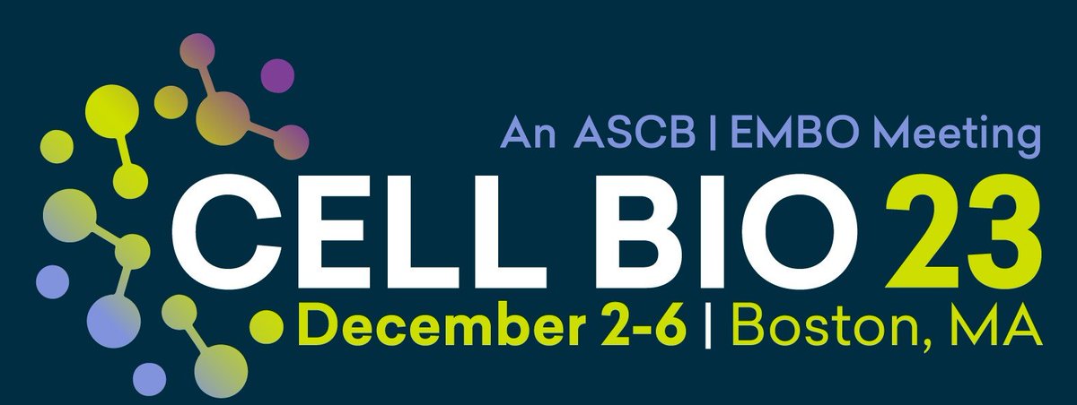 _AmandaYa's tweet photo. So excited to have been selected to give an @ASCBiology minisymposium talk at #cellbio2023! Join me on December 5th at the "Navigating Stem Cell Fate and Tissue-specific Function" minisymposium to hear about my research on the competition between aneuploid and diploid hESCs 🔬🧬 https://t.co/AUqrs97Wek
