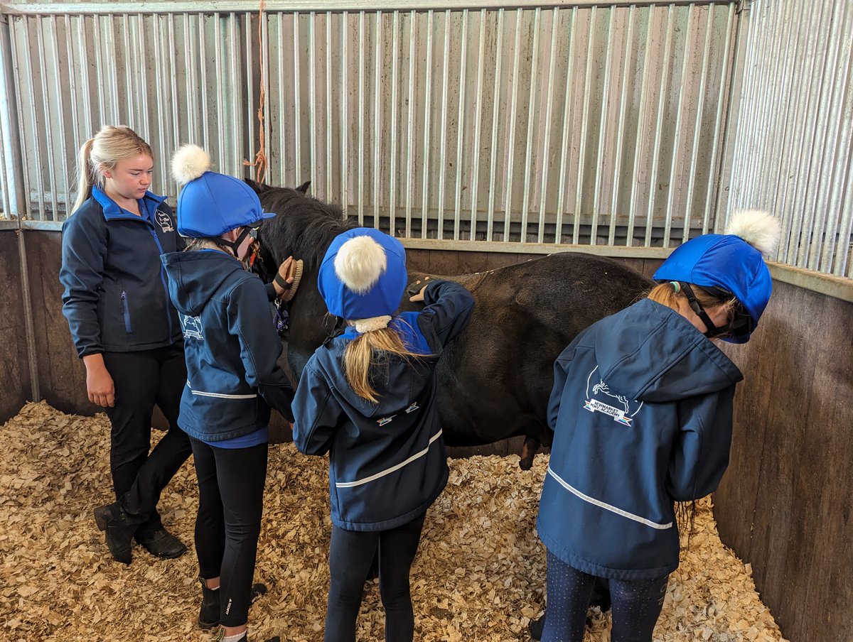 Burrough Green CofE Primary Academy tweet media