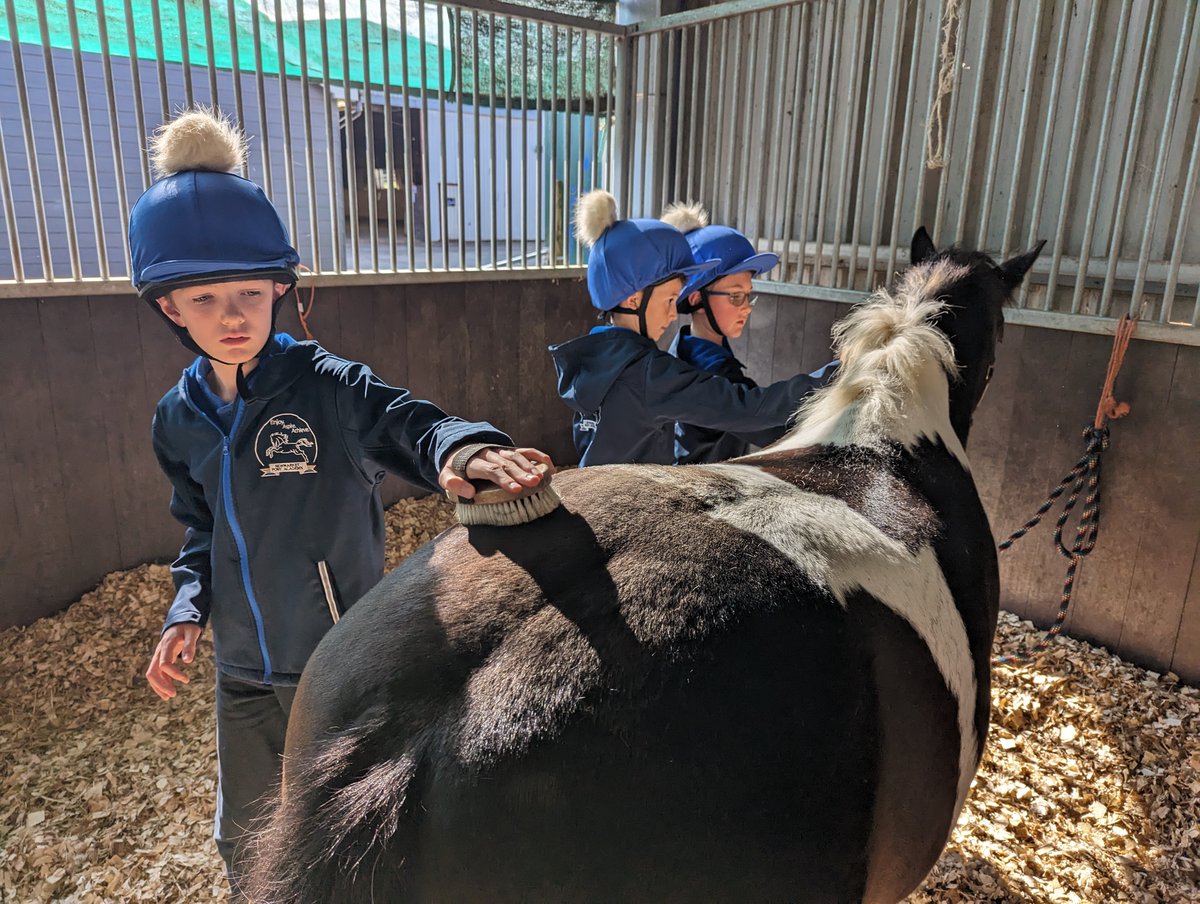 Burrough Green CofE Primary Academy tweet media