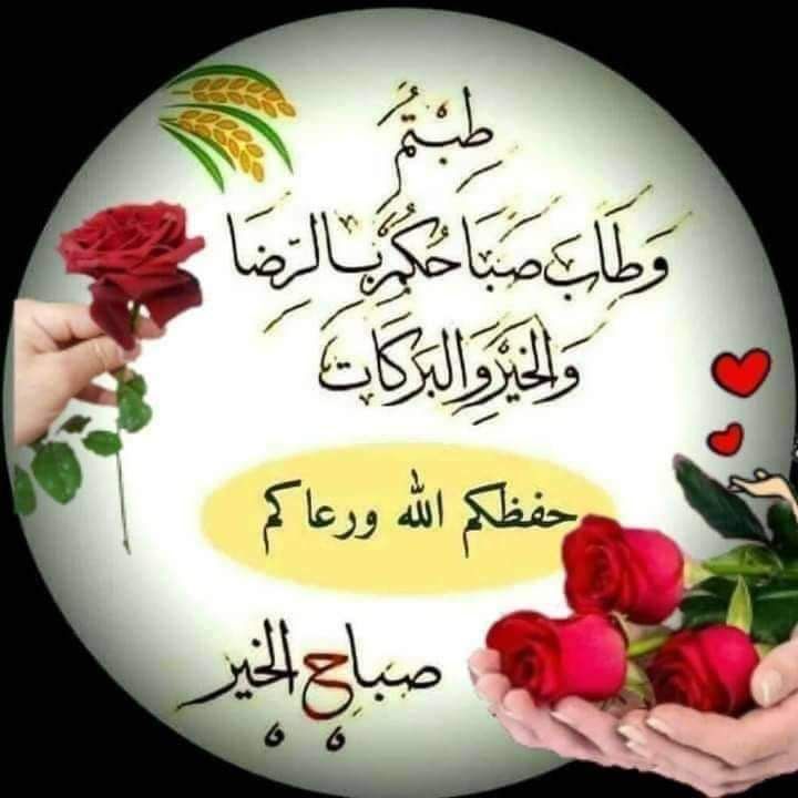 MohammedBe4016's tweet photo. @bwsmldlymy1 https://t.co/nlq2VuD09w
