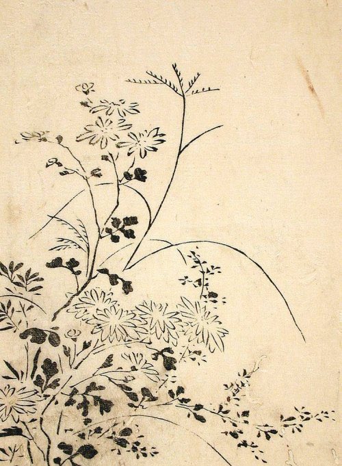 Eadeeva's tweet photo. Miyazaki Yūzen, 
Autumn Flowers and Grasses (1762) https://t.co/FOkIvm67Cn