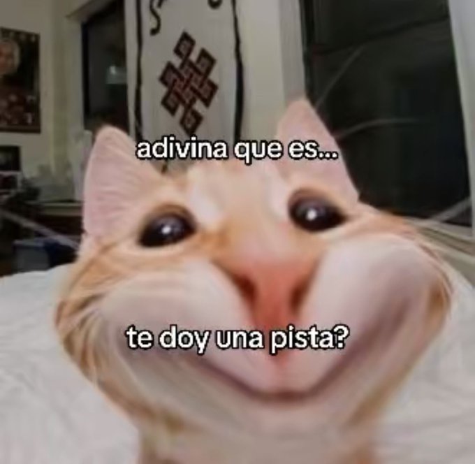 gabrrlgh's tweet photo. yo siempre: https://t.co/Mh1Evl7UXb