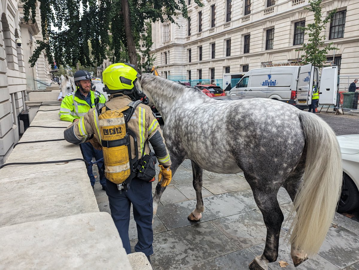 MetTaskforce's tweet photo. Thanks to @LFBWestminster Blue Watch at Soho for visiting GSY Stables today to participate in some horse evacuation training, building familiarisation and breathing apparatus noise exposure to the horses. #PrepareForTheWorst 🐴👮♂️👮♀️👨🚒👩🚒^5407co https://t.co/74kL2QbklC