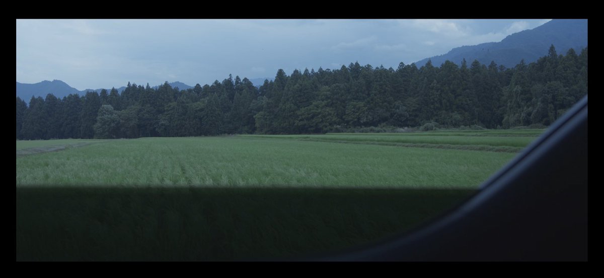SakFilms's tweet photo. @tokyovisite Comment les couleurs peuvent vite changer d’une semaine à l’autre c’est impressionnant ! https://t.co/LEuHk43O9I