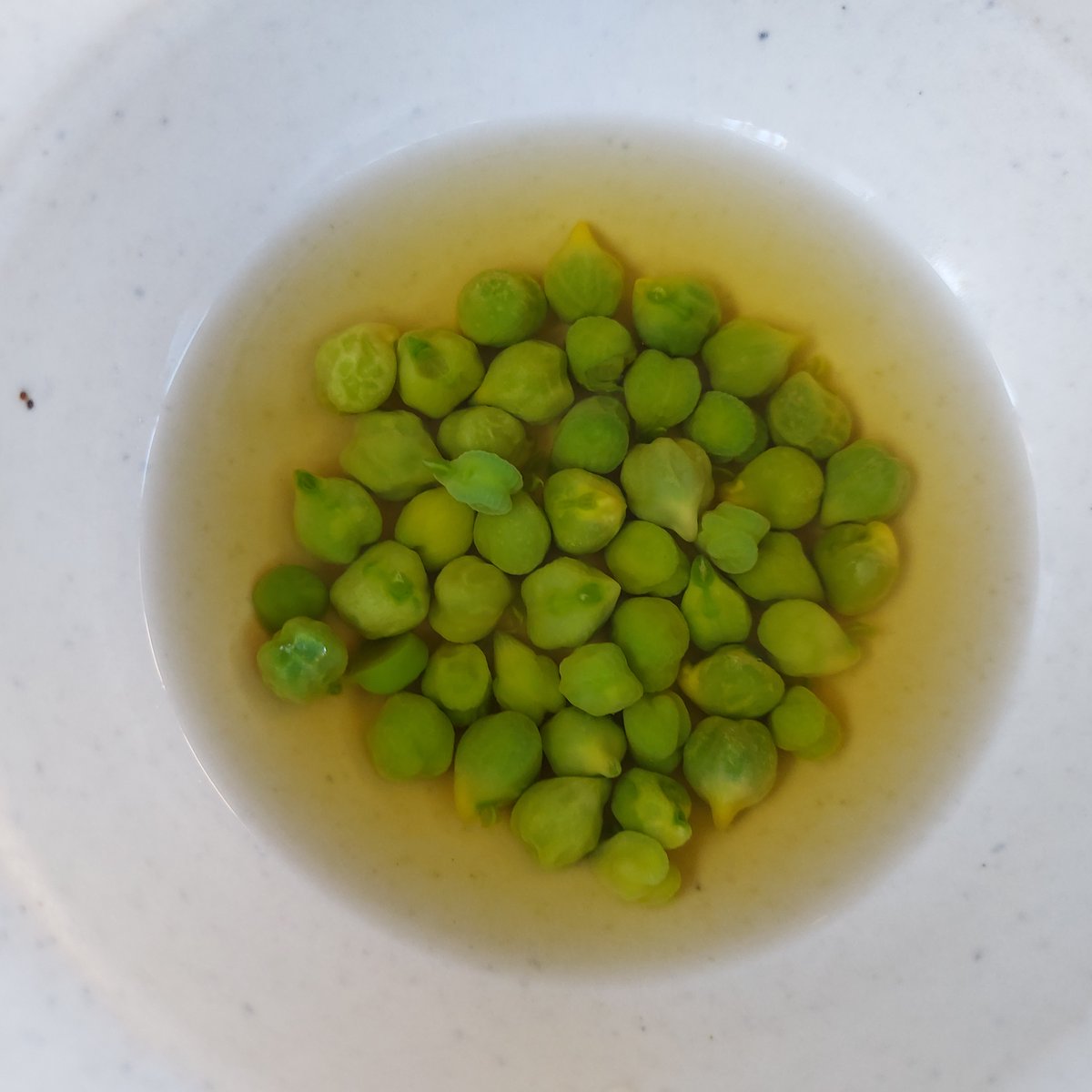 PhilippeRegol's tweet image. Nuevo post en mi blog #OSA #Madrid
Propuesta inclasificable que merece el viaje! 
tinyurl.com/2635pb7k