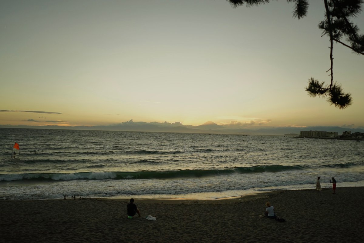 わたしの後ろで
そっと流れたあなたの涙
湿った香りの海風が
さよならと共に
連れ去ってくれますように