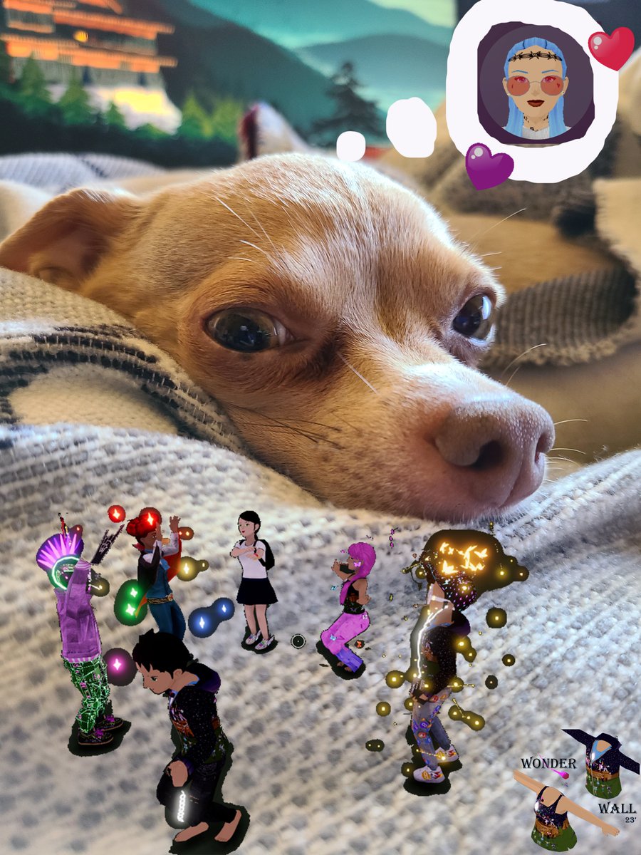 Aeon_Smash's tweet photo. Good Morning D e c e n t r a l a n d !!!
Ninja want's to thank @Furmosa1 for minting a Wonderwall Crew 23' shirt. #Wondercrew @ontherisecc34 @CardinalQuack @real_siswyd @bitfiendd @DOCTORdrippNFT @fermion_dcl_eth @decentraland @CanessaDCL @TobikCC https://t.co/2N85GhsPAU