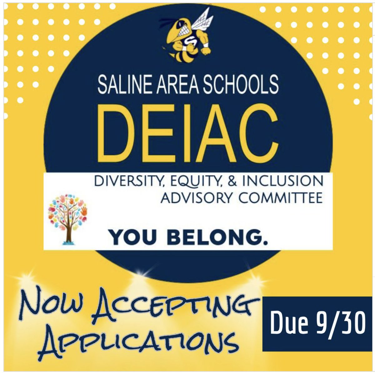 If you are interested in being a part of the DEIAC as a Student Representative, please complete an application by September 30, 2023.  Please direct any questions to Laura Washington at washingl@salineschools.org