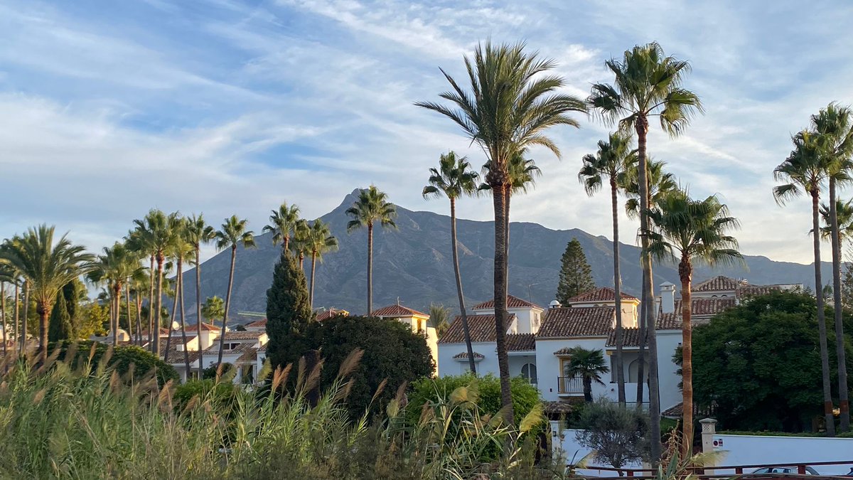 Charter_Life's tweet photo. We love our sunrise morning walks along the coast of Marbella's famous Golden Mile. Live your best life - choose the Costa del Sol!
🌞🌴 #costadelsollife #marbellalifestyle #marbellaspain #marbellagoldenmile #malaga #sunrise #livelife #lovelife #charterlife #solvida365 https://t.co/QewDyDyiek