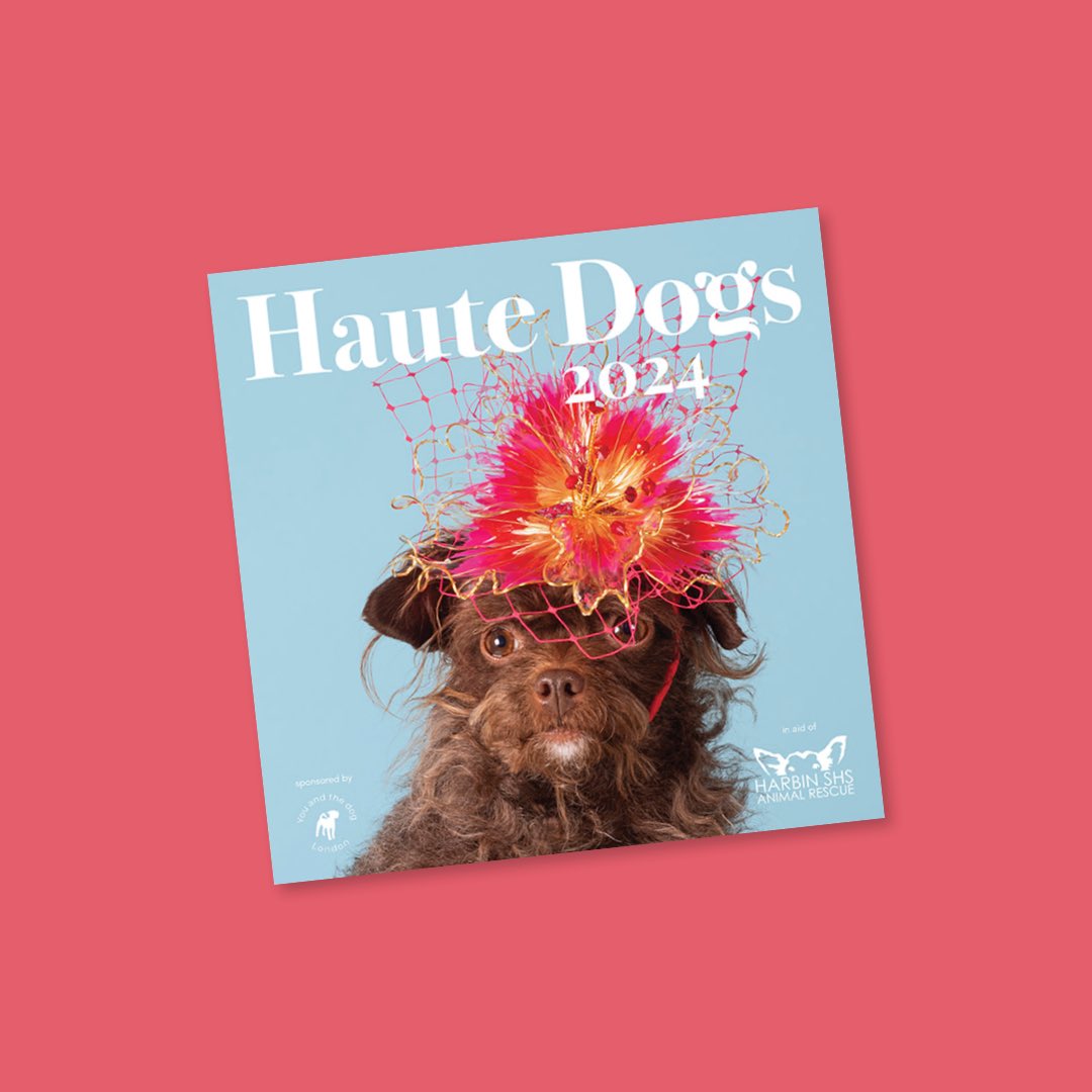 Counter_Studio's tweet photo. We’ve enjoyed working on the new Haute Dogs logo, because who doesn’t love dogs in hats for charity? 

Go and grab yourself a calendar for 2024 : https://t.co/044lxS31JR https://t.co/bAG3Uv7vOy