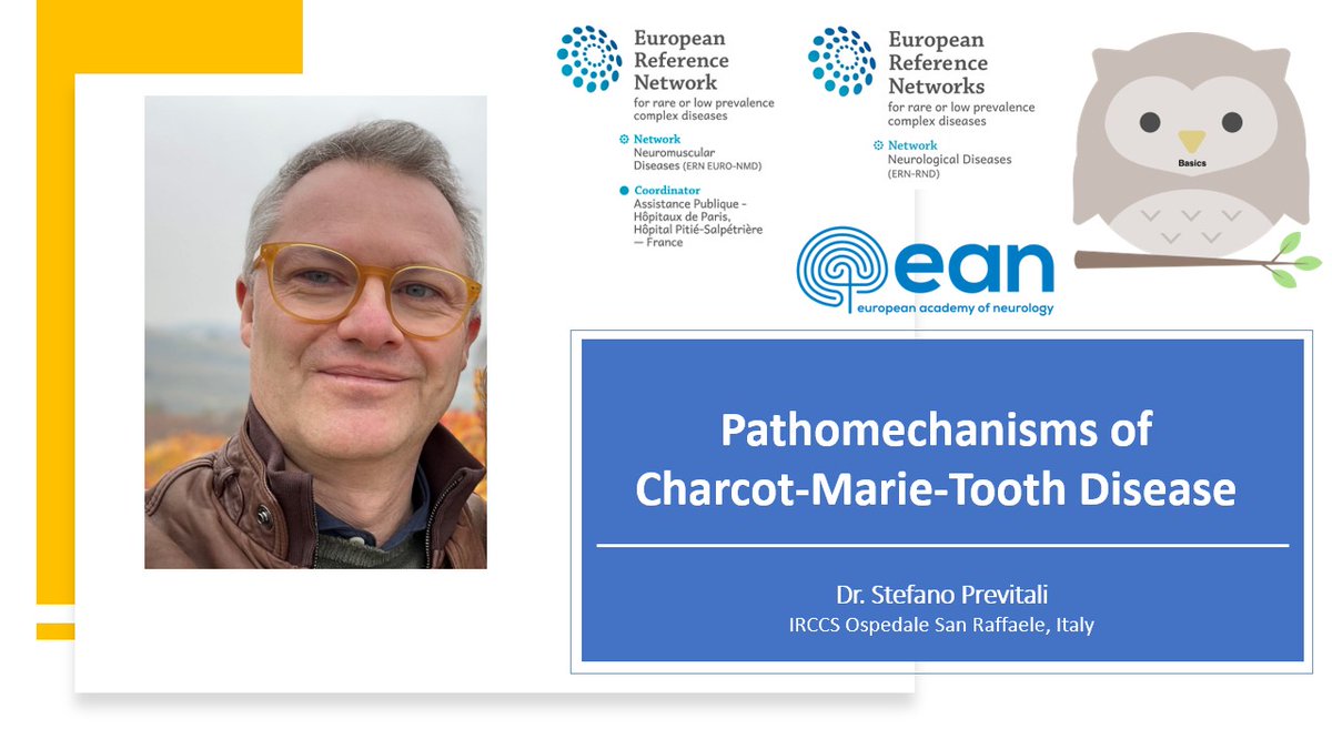ern euro_nmd (@euro_nmd) on Twitter photo ➡️Next #EURONMD webinar w/ <a href="/ERN_RND/">@ERN_RND 🧠</a> & <a href="/EANeurology/">European Academy of Neurology</a>.
📚"Pathomechanisms of Charcot-Marie-Tooth Disease" delivered by Dr. Stefano Carlo Previtali (IRCCS Ospedale San Raffaele, Italy)
📅Oct 4th, 2023 at 16:00 CEST
ℹ️More information and registration here 👉bit.ly/3t2EIsY ➡️Next #EURONMD webinar w/ <a href="/ERN_RND/">@ERN_RND 🧠</a> & <a href="/EANeurology/">European Academy of Neurology</a>.
📚"Pathomechanisms of Charcot-Marie-Tooth Disease" delivered by Dr. Stefano Carlo Previtali (IRCCS Ospedale San Raffaele, Italy)
📅Oct 4th, 2023 at 16:00 CEST
ℹ️More information and registration here 👉bit.ly/3t2EIsY