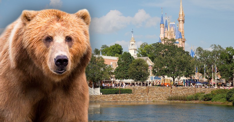 MickeyViews's tweet photo. BREAKING: Bear Found Inside Disney’s Magic Kingdom — Lands Closed Around Tom Sawyer’s Island