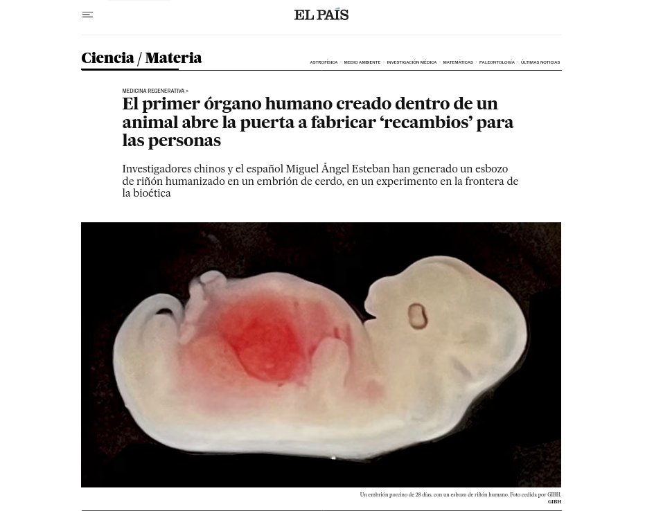 StopCamarles's tweet image. 80 babuinos que iban a ser “usados como fábricas de órganos” para humanos, siguen encarcelados en la Universidad de Murcia (@UMU) esperando a ser masacrados en otro atroz experimento.
Mientras, siguen apareciendo panfletos/propaganda disfrazados de artículos para seguir vendiendo…