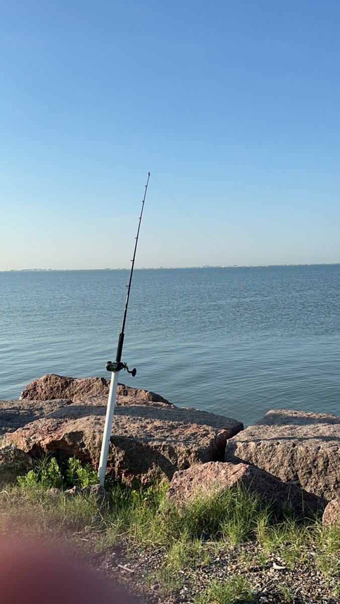 juan damian tweet media