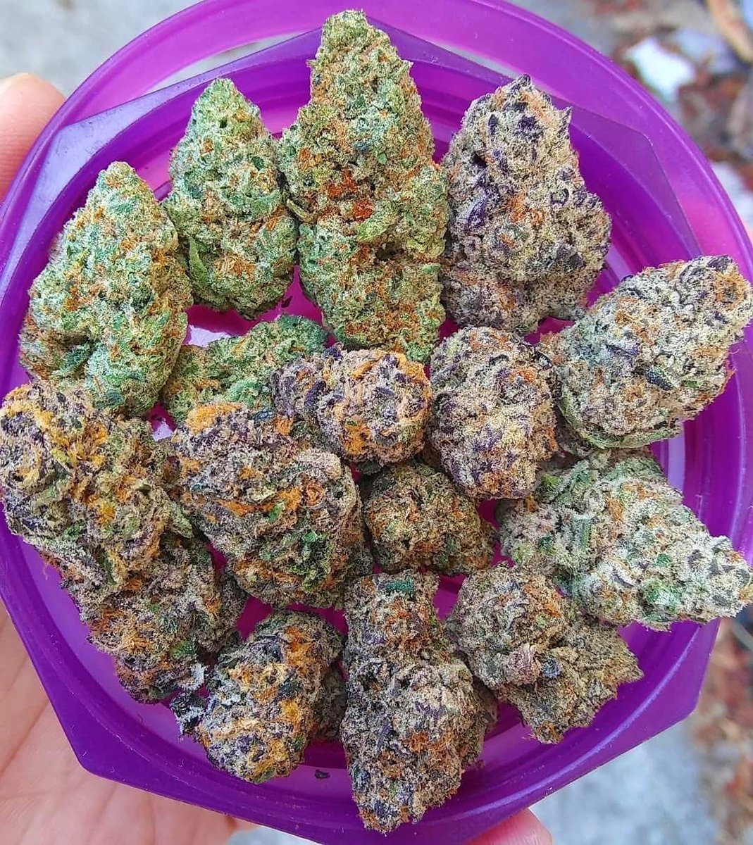 cannabishub's tweet photo. Purple Punch 💜👊, Peanut Butter Breath 😷🥜, and Bacio Gelato🍨🍧

📸 Royal Highness Dispensary https://t.co/HsDNYhqai1