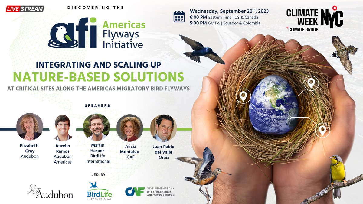 ✨Let´s fly beyond borders!🐦 🌎Join us to discover #AmericasFlywaysInitiative (AFI) launch at #NYClimateWeek! Wednesday, September 20 via livestream. ✅ Register first here: audubon.zoom.us/webinar/regist…