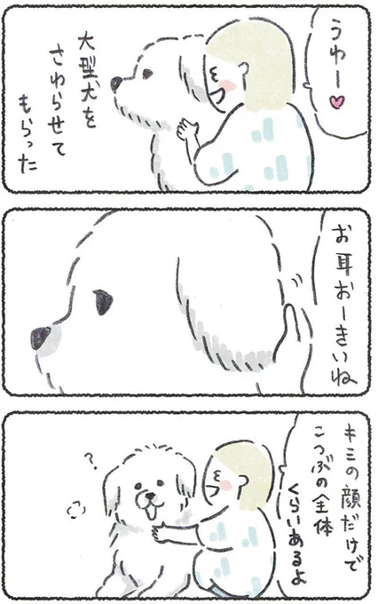 大型犬に会ったあと家に帰るとたまげる 