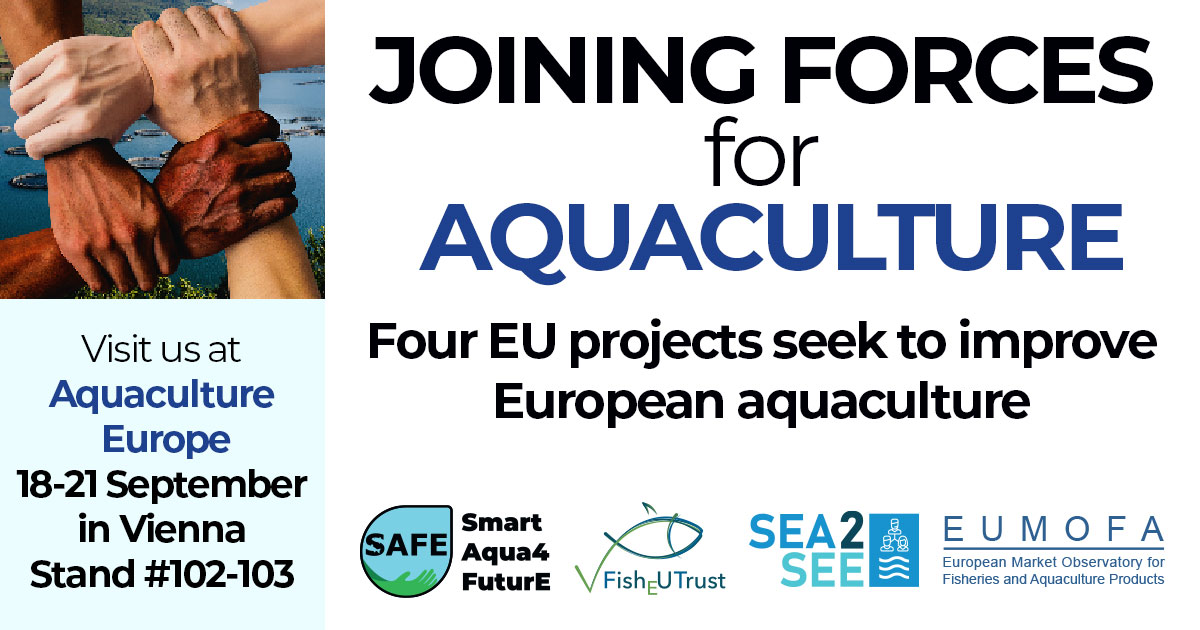 It has started! <a href="/SEAentia/">SEAentia</a> is once again at Aquaculture Europe 2023 in Vienna.
This year we’ll be at the tradeshow through the SEA2SEE project and we’ve joined forces with three other EU projects: #SEA2SEE, #FishEUTrust, #SAFE and #EUMOFA
#corvinabyseaentia
#Sea2SeeProject
#AE23