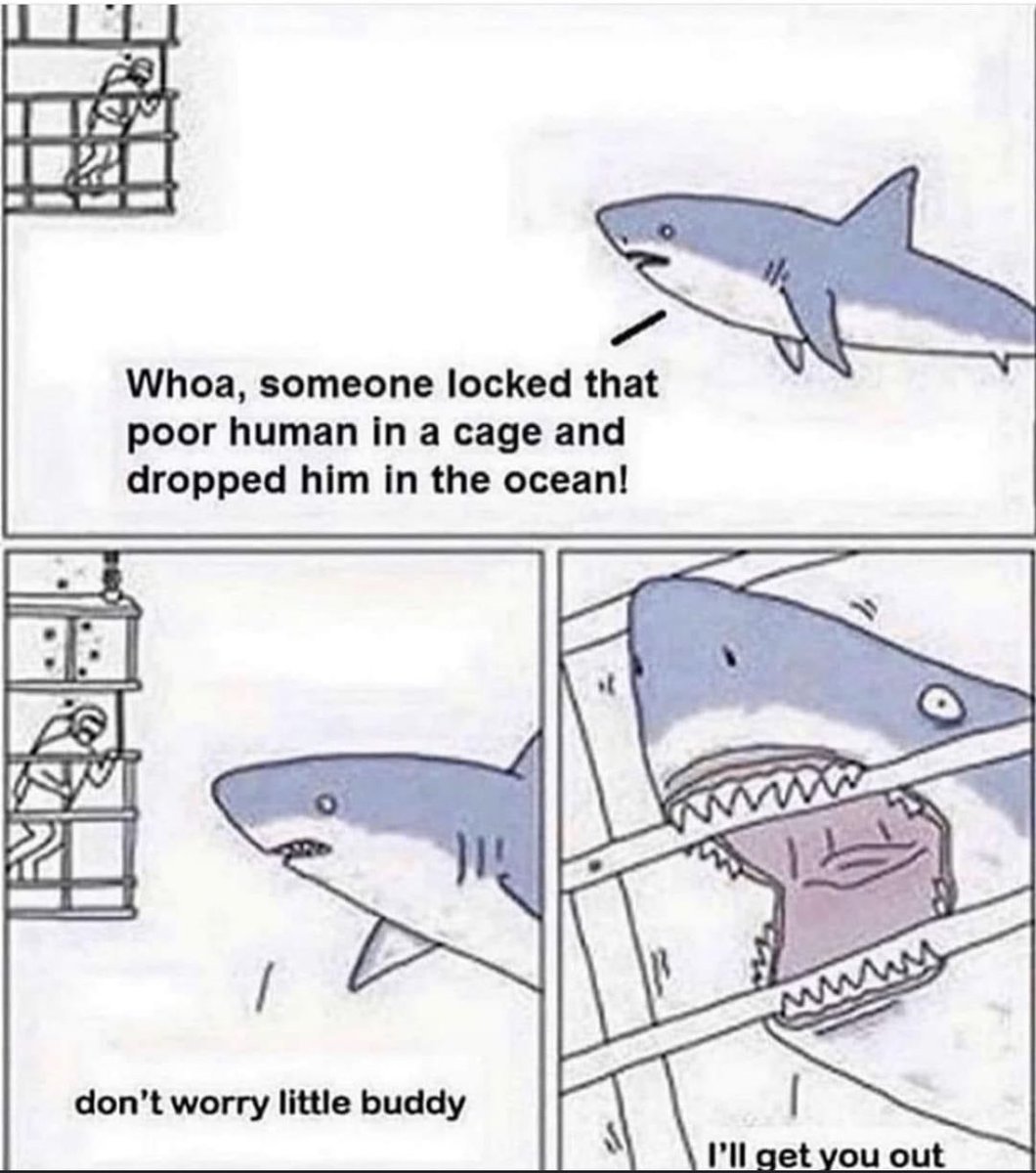 non aesthetic things (@picturesfoider) on Twitter photo 