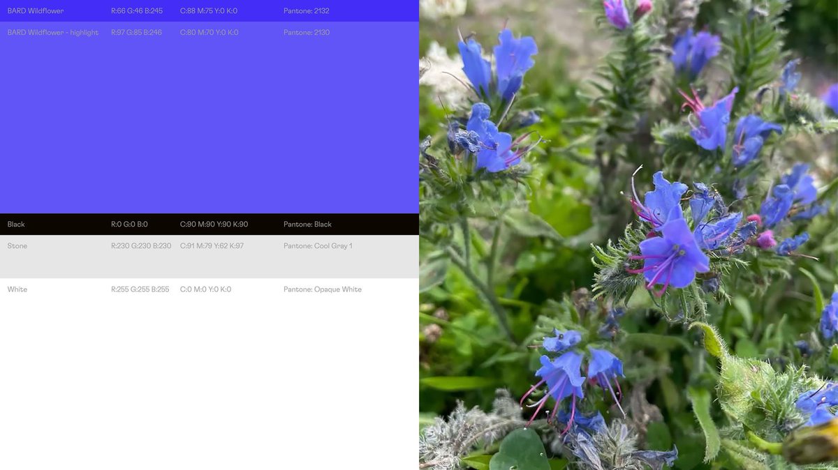 Warriors Studio tweet media